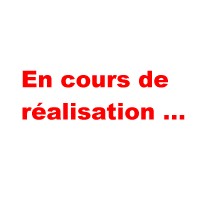 en_cours_realisation